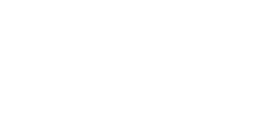 Nicolas Rochon Agency
